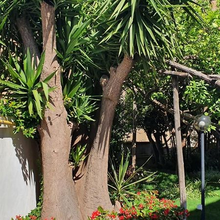 Maria Maddalena Holiday House ヴィーコ・エクエンセ エクステリア 写真